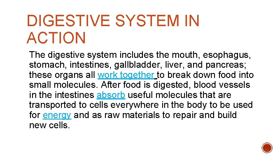 DIGESTIVE SYSTEM IN ACTION The digestive system includes the mouth, esophagus, stomach, intestines, gallbladder, DIGESTIVE SYSTEM IN ACTION The digestive system includes the mouth, esophagus, stomach, intestines, gallbladder,