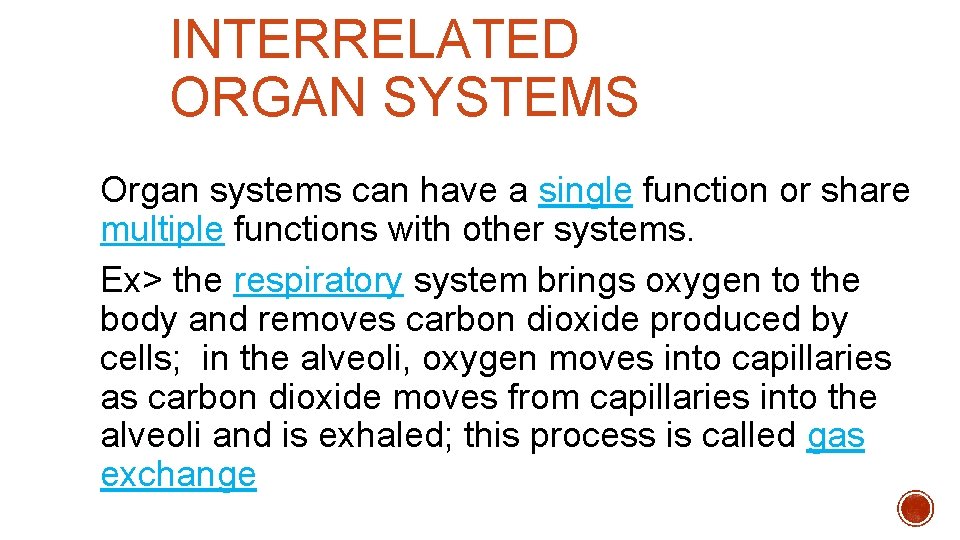 INTERRELATED ORGAN SYSTEMS Organ systems can have a single function or share multiple functions INTERRELATED ORGAN SYSTEMS Organ systems can have a single function or share multiple functions