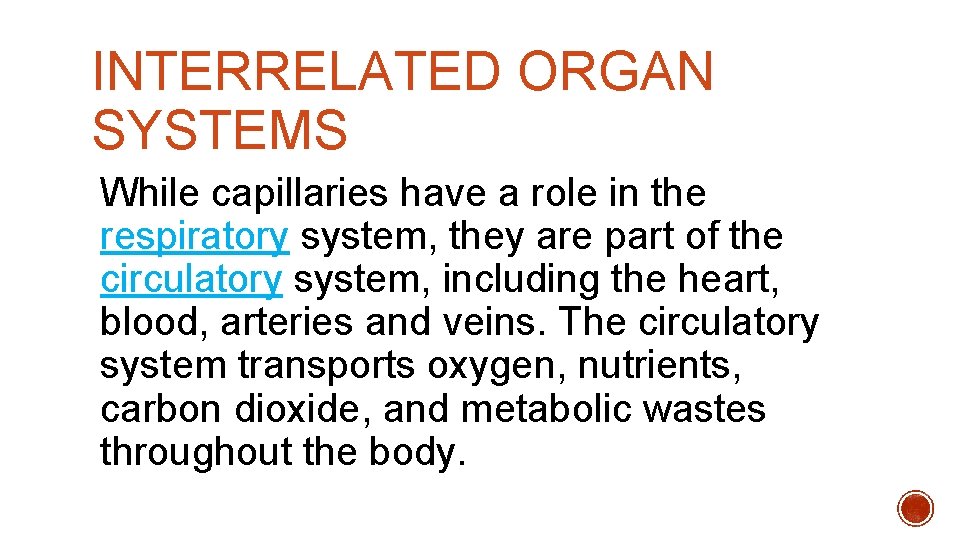 INTERRELATED ORGAN SYSTEMS While capillaries have a role in the respiratory system, they are INTERRELATED ORGAN SYSTEMS While capillaries have a role in the respiratory system, they are