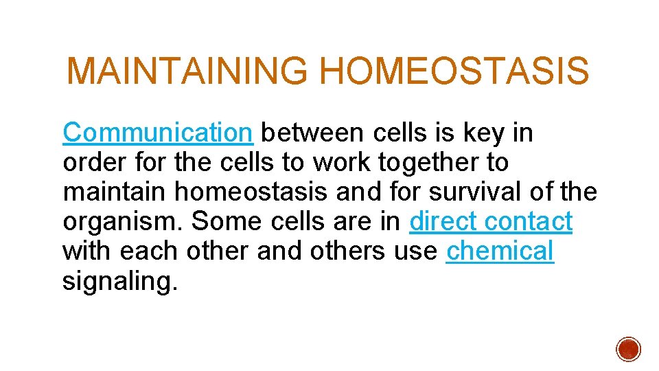 MAINTAINING HOMEOSTASIS Communication between cells is key in order for the cells to work MAINTAINING HOMEOSTASIS Communication between cells is key in order for the cells to work