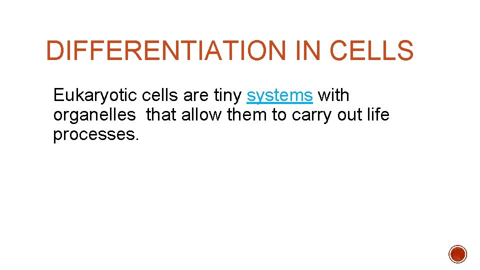 DIFFERENTIATION IN CELLS Eukaryotic cells are tiny systems with organelles that allow them to DIFFERENTIATION IN CELLS Eukaryotic cells are tiny systems with organelles that allow them to