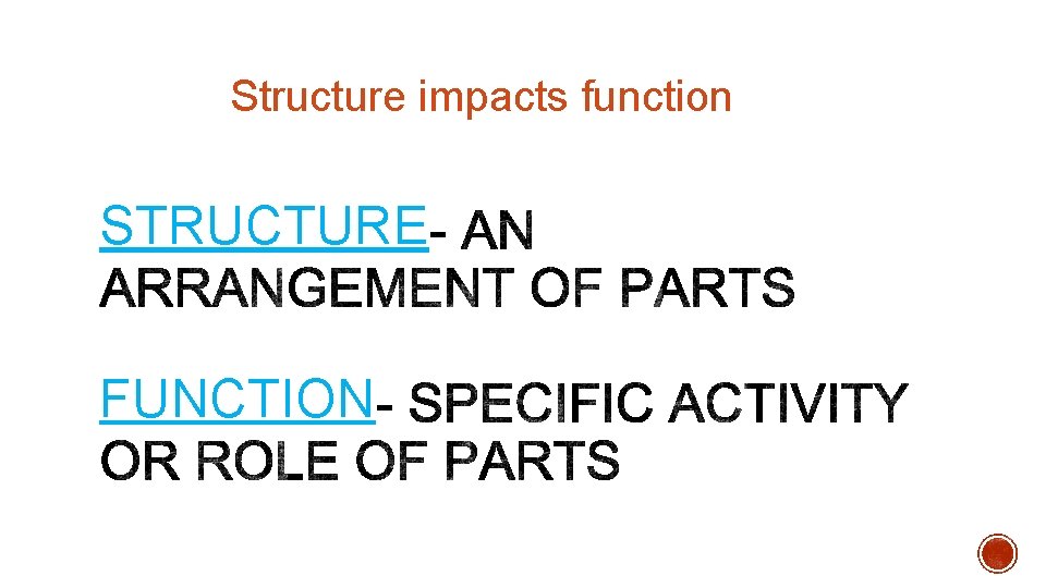 Structure impacts function STRUCTURE FUNCTION Structure impacts function STRUCTURE FUNCTION