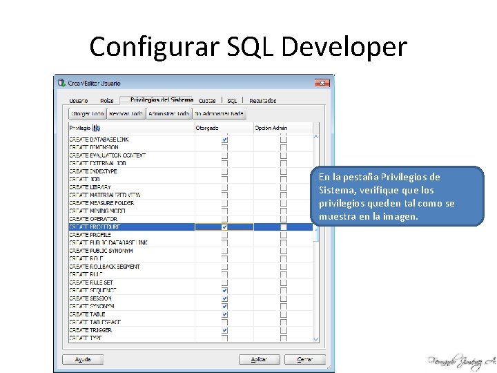 Configurar SQL Developer En la pestaña Privilegios de Sistema, verifique los privilegios queden tal