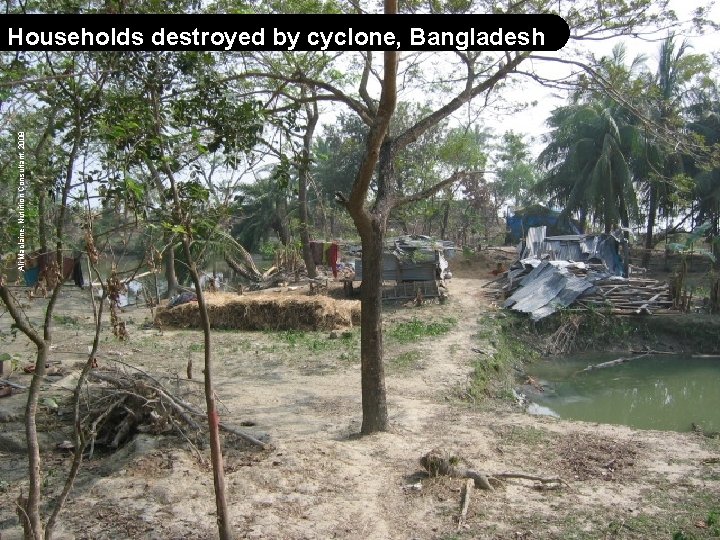 Ali Maclaine, Nutrition Consultant, 2008 Households destroyed by cyclone, Bangladesh 