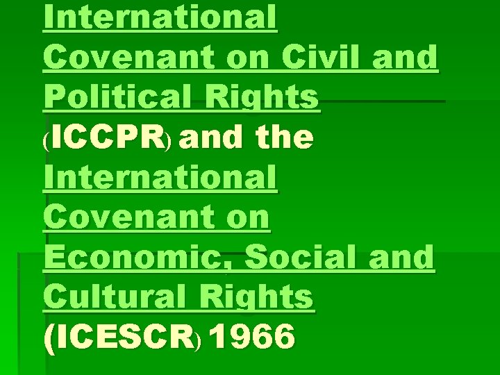 International Covenant on Civil and Political Rights (ICCPR) and the International Covenant on Economic,