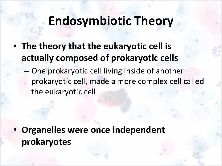 Endosymbiotic Theory • The theory that the eukaryotic cell is actually composed of prokaryotic