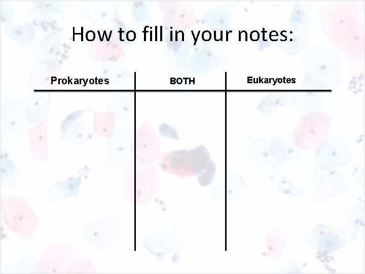 How to fill in your notes: Prokaryotes BOTH Eukaryotes 