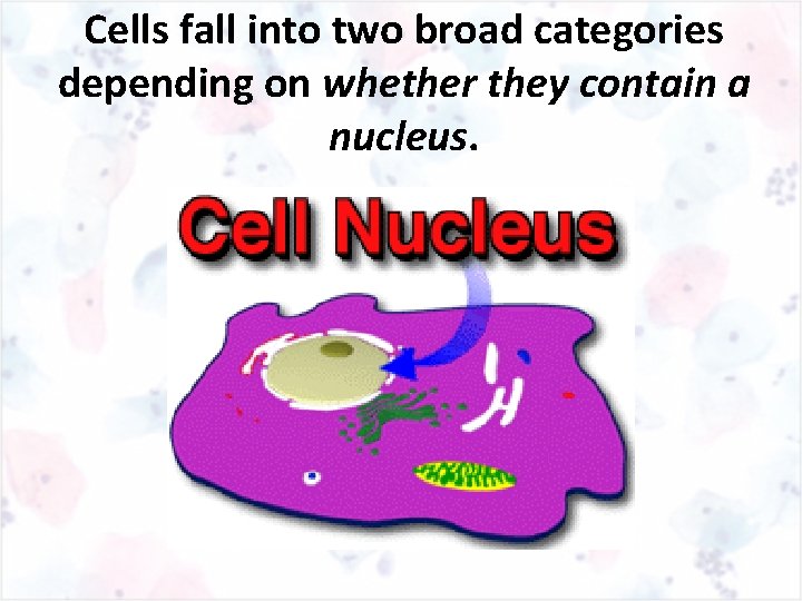 Cells fall into two broad categories depending on whether they contain a nucleus. 