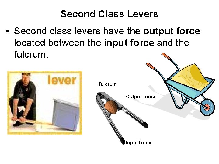 Second Class Levers • Second class levers have the output force located between the