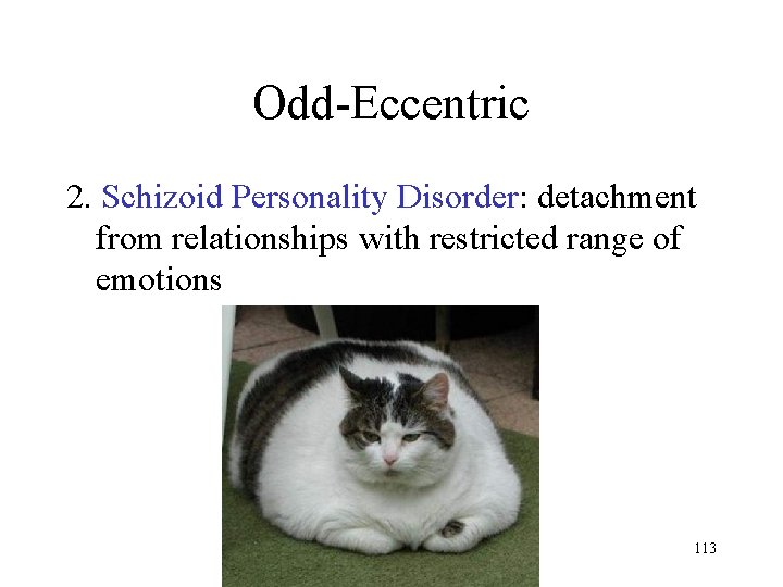 Odd-Eccentric 2. Schizoid Personality Disorder: detachment from relationships with restricted range of emotions 113