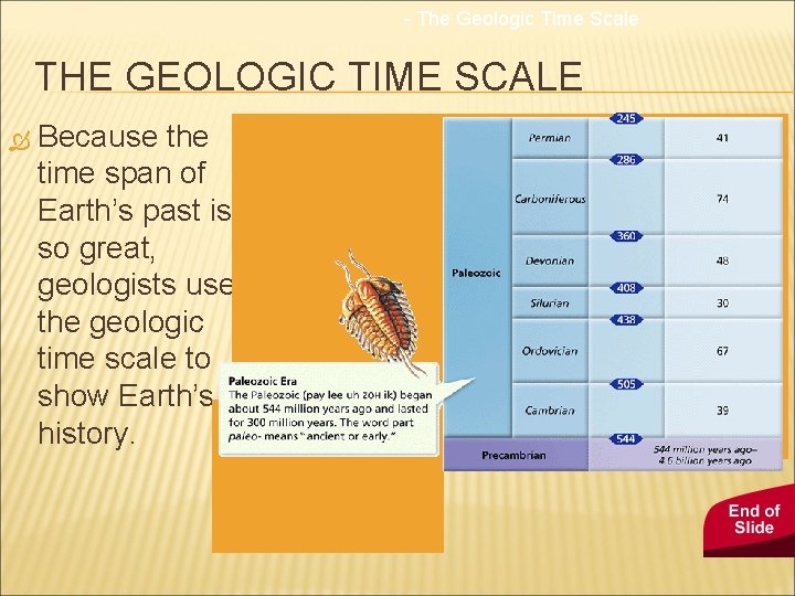 - The Geologic Time Scale THE GEOLOGIC TIME SCALE Because the time span of
