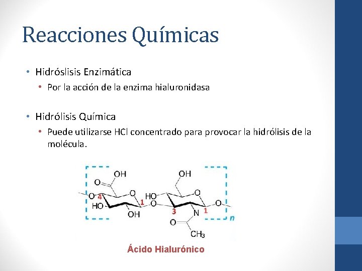 Reacciones Químicas • Hidróslisis Enzimática • Por la acción de la enzima hialuronidasa •