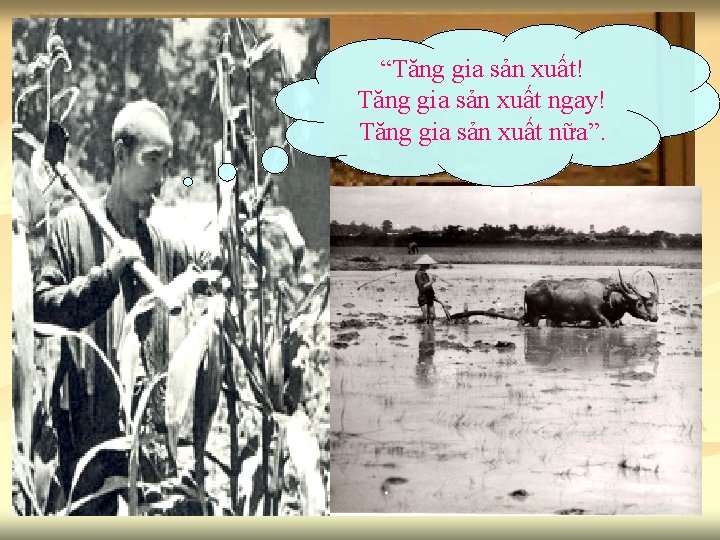 “Tăng gia sản xuất! Tăng gia sản xuất ngay! Tăng gia sản xuất nữa”.