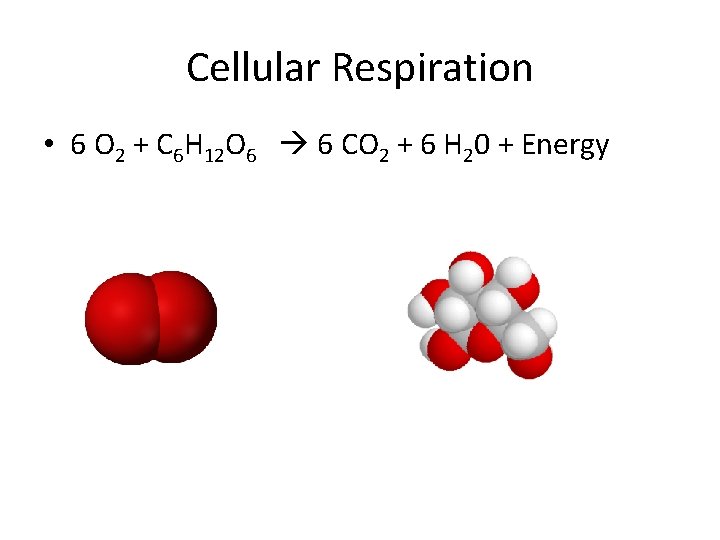 Cellular Respiration 9 19 14 Think Ink Pair