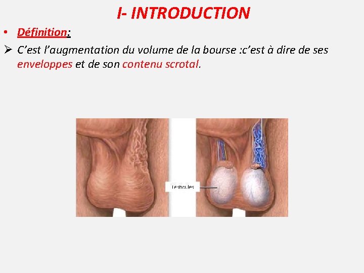 I- INTRODUCTION • Définition: Ø C’est l’augmentation du volume de la bourse : c’est