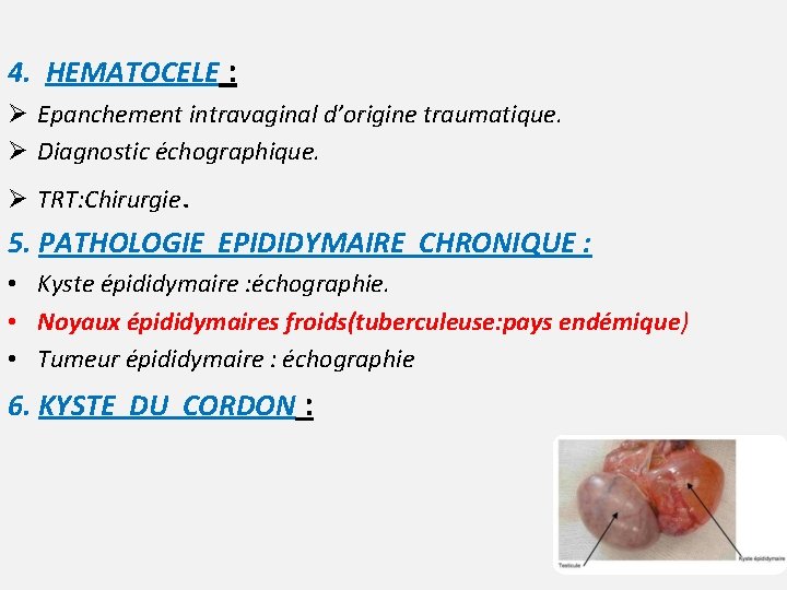 4. HEMATOCELE : Ø Epanchement intravaginal d’origine traumatique. Ø Diagnostic échographique. Ø TRT: Chirurgie.