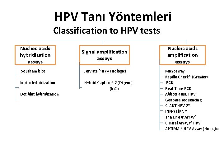 HPV Tanı Yöntemleri Classification to HPV tests Nucliec acids hybridization assays Signal amplification assays