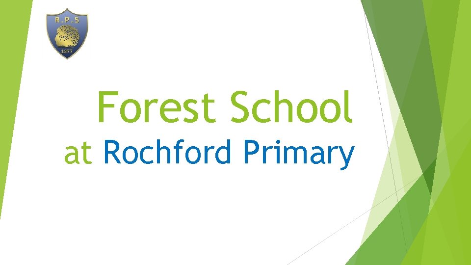 Forest School at Rochford Primary 