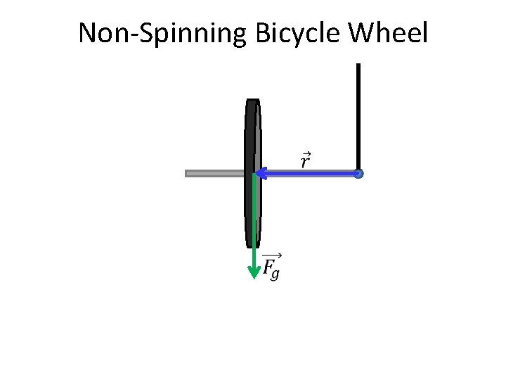 Non-Spinning Bicycle Wheel 