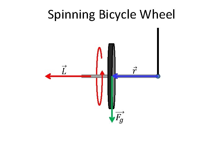 Spinning Bicycle Wheel 