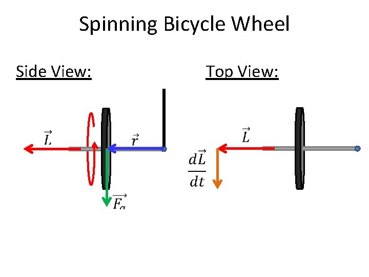 Spinning Bicycle Wheel Side View: Top View: 