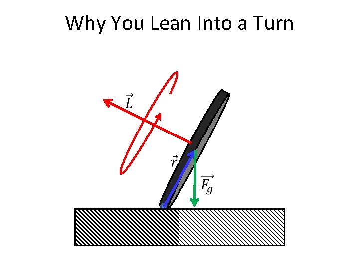 Why You Lean Into a Turn 