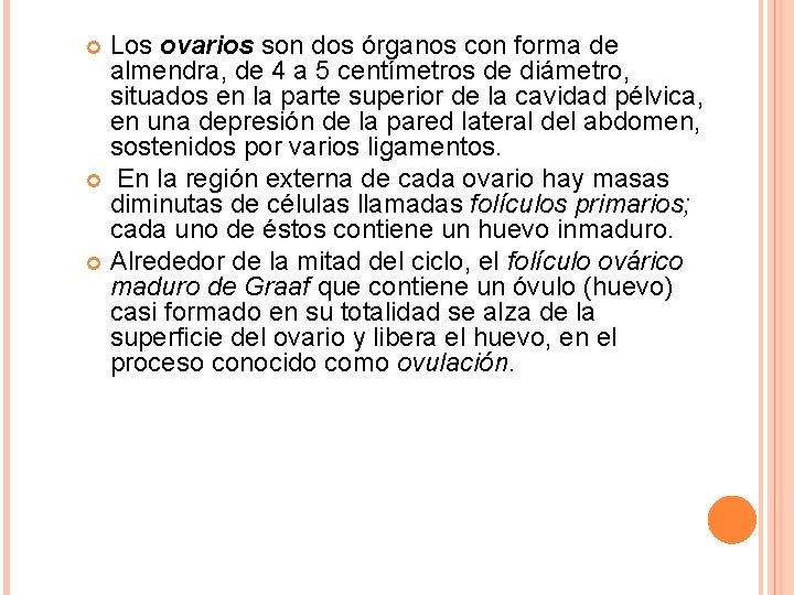 Los ovarios son dos órganos con forma de almendra, de 4 a 5 centímetros