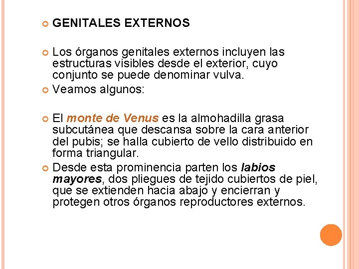  GENITALES EXTERNOS Los órganos genitales externos incluyen las estructuras visibles desde el exterior,