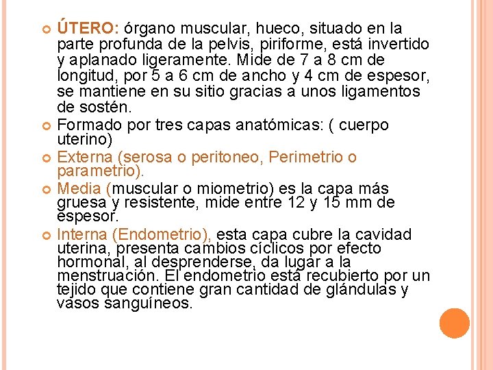 ÚTERO: órgano muscular, hueco, situado en la parte profunda de la pelvis, piriforme, está