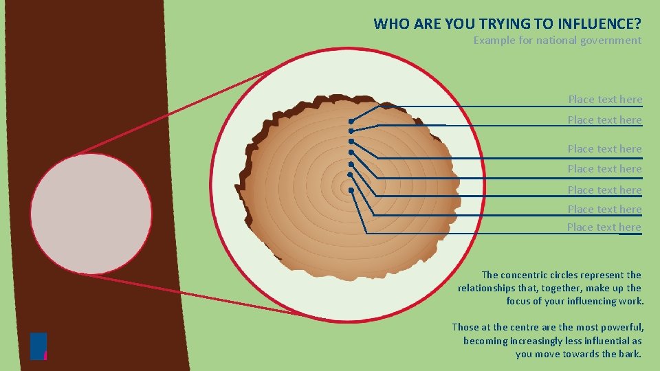WHO ARE YOU TRYING TO INFLUENCE? Example for national government Place text here Place