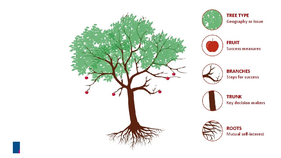 TREE TYPE Geography or issue FRUIT Success measures BRANCHES Steps for success TRUNK Key