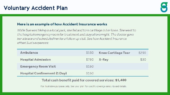 Voluntary Accident Plan Voluntary Accident Plan