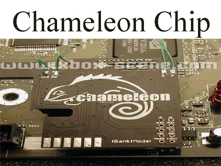 Chameleon Chip 