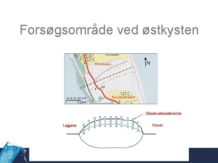 Forsøgsområde ved østkysten 
