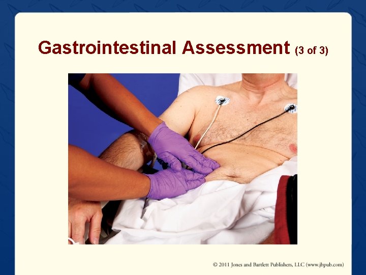 Gastrointestinal Assessment (3 of 3) 