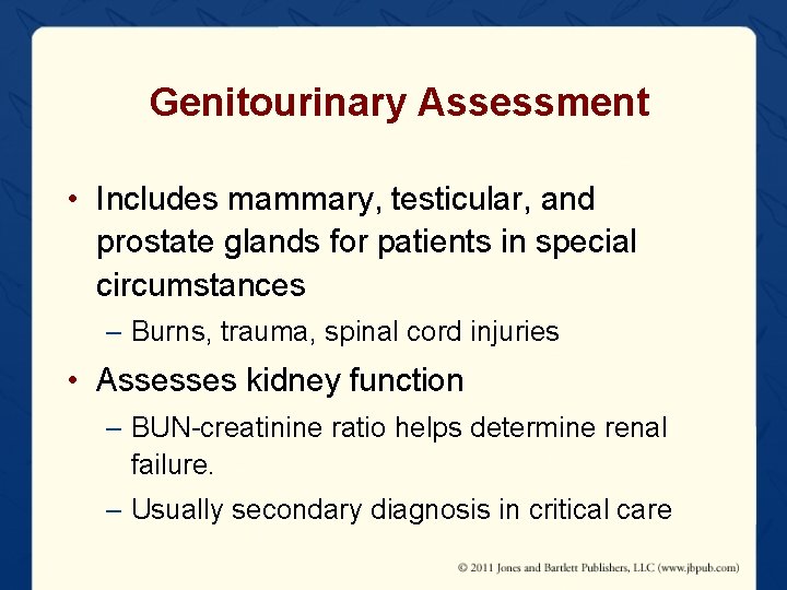 Genitourinary Assessment • Includes mammary, testicular, and prostate glands for patients in special circumstances