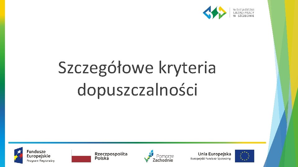 Szczegółowe kryteria dopuszczalności 