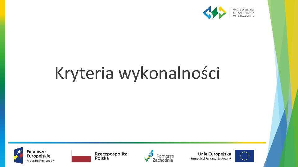 Kryteria wykonalności 