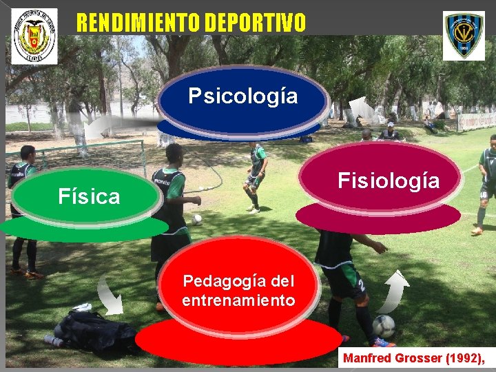 RENDIMIENTO DEPORTIVO Psicología Fisiología Física Pedagogía del entrenamiento Manfred Grosser (1992), 