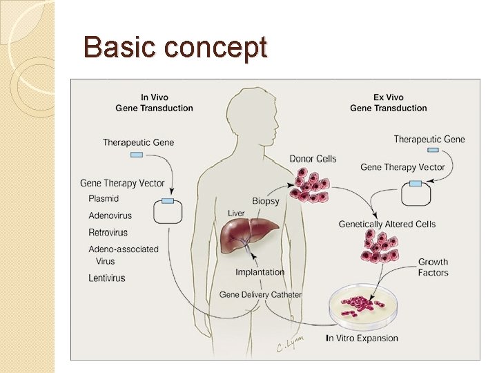 Gene Therapy and Viral Vector Lecture 1 We