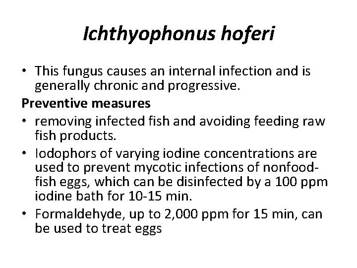 Ichthyophonus hoferi • This fungus causes an internal infection and is generally chronic and