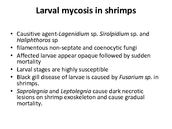 Larval mycosis in shrimps • Causitive agent-Lagenidium sp. Sirolpidium sp. and Haliphthoros sp •
