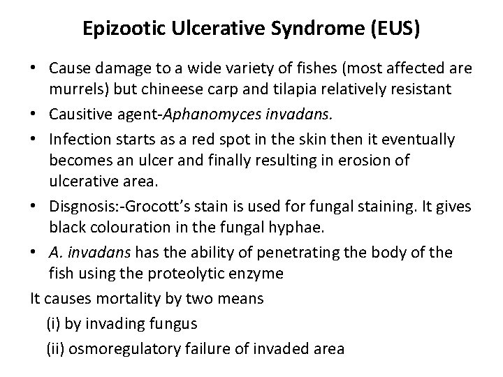 Epizootic Ulcerative Syndrome (EUS) • Cause damage to a wide variety of fishes (most