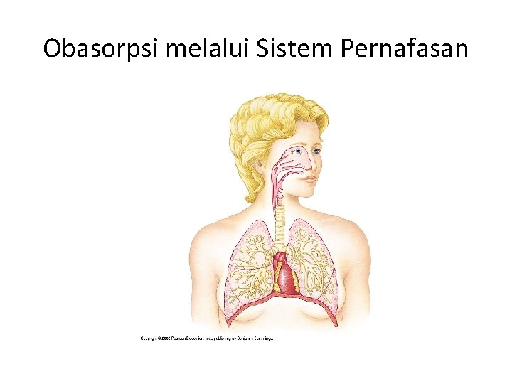 Obasorpsi melalui Sistem Pernafasan 