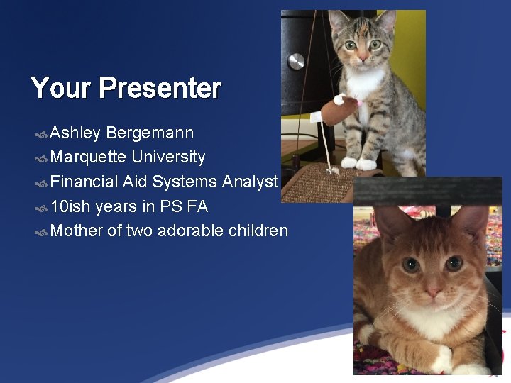 Your Presenter Ashley Bergemann Marquette University Financial Aid Systems Analyst 10 ish years in