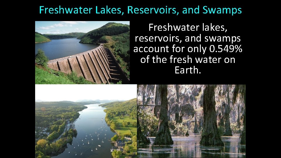 Freshwater Lakes, Reservoirs, and Swamps Freshwater lakes, reservoirs, and swamps account for only 0.
