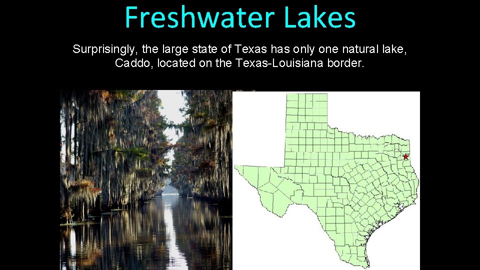Freshwater Lakes Surprisingly, the large state of Texas has only one natural lake, Caddo,