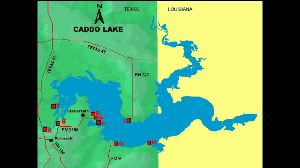 Freshwater Lakes Surprisingly, the large state of Texas has only one natural lake, Caddo