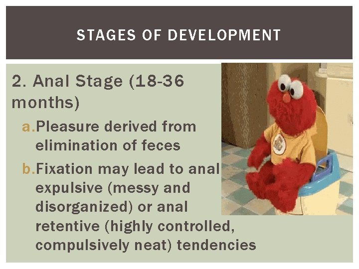 STAGES OF DEVELOPMENT 2. Anal Stage (18 -36 months) a. Pleasure derived from elimination