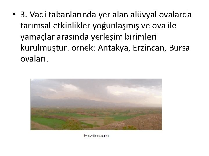  • 3. Vadi tabanlarında yer alan alüvyal ovalarda tarımsal etkinlikler yoğunlaşmış ve ova